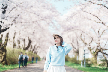 Naklejka premium Woman tourist sightseeing Kitakami Tenshochi Park with Sakura Cherry Blossom in Spring, traveler travel in Kitakami festival, Iwate prefecture, Japan. Landmark for Travel and Vacation destination