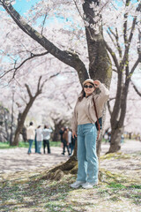 Fototapeta premium Woman tourist sightseeing Sakura Cherry blossom at Morioka Castle Ruins park in Spring, happy traveler travel in Iwate Park, Iwate prefecture, Japan. famous Landmark Travel and Vacation destination