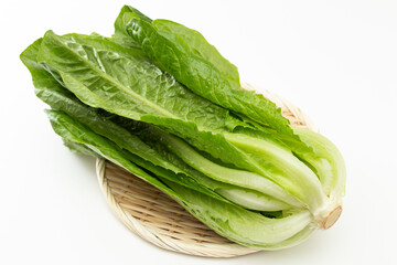 笊に乗ったロメインレタス　白バック