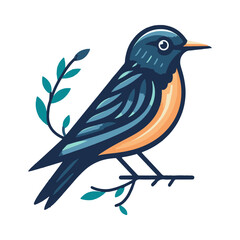 
starling illustration design