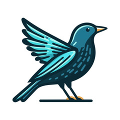 
starling illustration design