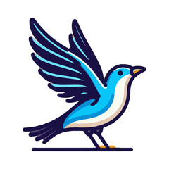 
starling illustration design