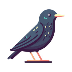 
starling illustration design