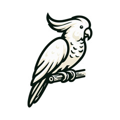 parrot illustration design