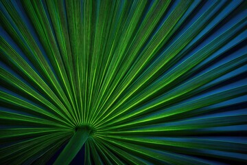 Obraz premium Close-up of a palm frond, vibrant green and dark blue