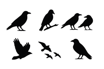 Crow raven silhouette bird set collection in flight and perched positions, ideal for nature graphics, Halloween designs, and eerie atmosphere artwork.  
