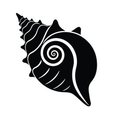 seashell vector illustration On Transparent Background