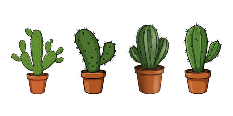 Four potted cacti showcase desert flora beauty
