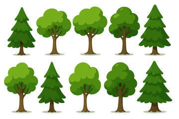 Tree collection vector illustration. Cartoon forest tree and green pine set isolated. Cute nature park and wood plant graphic design elements. Green environment concept.