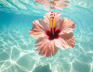 Underwater Hibiscus Flower Vibrant Colors