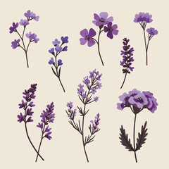 Obraz premium Beautiful watercolor botanical illustrations featuring various purple flowers and herbs in delicate detail, perfect for elegant designs and natural aesthetics.
