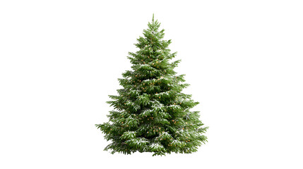 Fototapeta premium Green Evergreen Tree Isolated on Transparent Background for Nature Designs and Outdoor Themed Projects