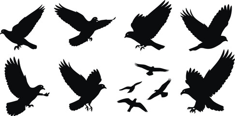 Silhouettes of flying birds in various wing positions, isolated black shapes for nature, wildlife, flight anatomy, and artistic design use.