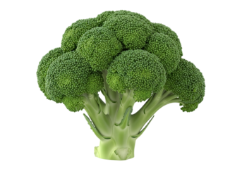 Fresh Green Broccoli Head on Black Background Perfect for Healthy Eating and Cooking Illustrations