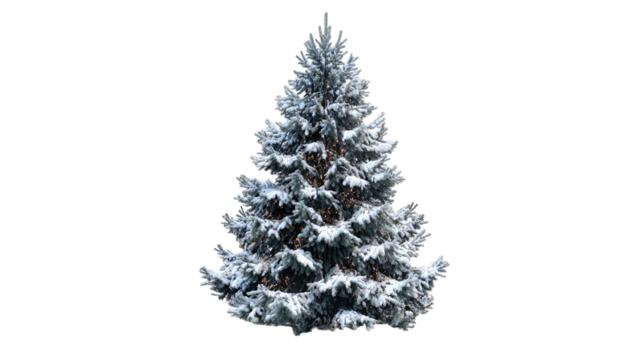 Snow Covered Evergreen Tree Isolated on Transparent Background for Winter Holiday Designs and Seasonal Greetings