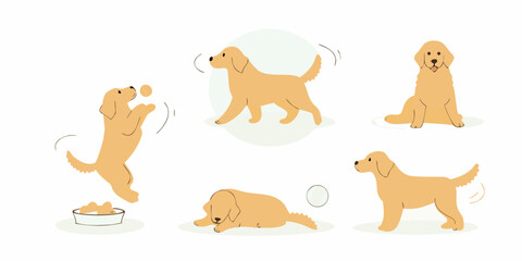Fototapeta premium Collection of cute golden retriever dogs in various playful poses and activities