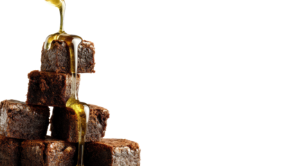 Ancient Egyptian Mummy Illustration with Intricate Bandaging Techniques