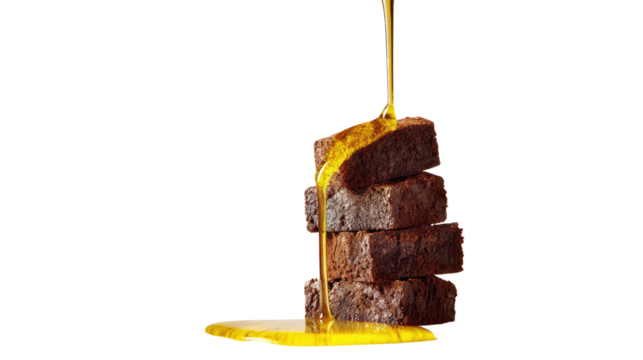 Vintage Toy Dog Wrapped in Bandages with Quirky Expression