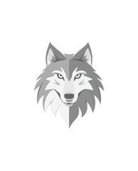 Gray wolf head illustration