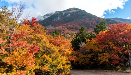 Obraz premium Picturesque autumn landscape featuring vibrant foliage and majestic mountain backdrop