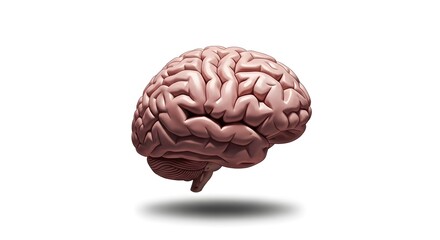 Conceptual 3D rendering of the human brain, a symbol of consciousness, intellect, and the complexities of mental health and neuroscience
