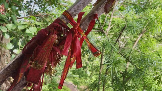 Close-up shot of sacred red cloths tied to a tree branch at Maihar Sharda Devi Temple, Madhya Pradesh. Devotees tie these cloths while praying for wishes to be fulfilled at this revered Shakti Peeth.