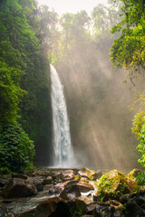 Obraz premium waterfall in the forest