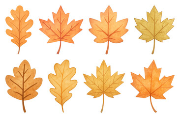 PNG Autumn leaves illustration collection, element set on transparent background