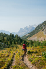 Fototapeta premium Hiker in the mountains 