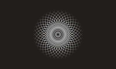 Circular Symmetry Floral Ornament