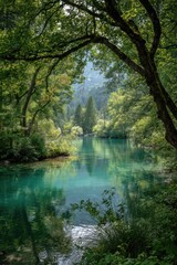 Obraz premium 湖 緑の景色