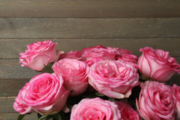 Fototapeta premium pink rose on a wooden background 