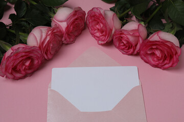 Pink rose with gift on pink background
