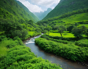 A scenic location with a beautiful natural green environment and professional photography. The river in the mountains.