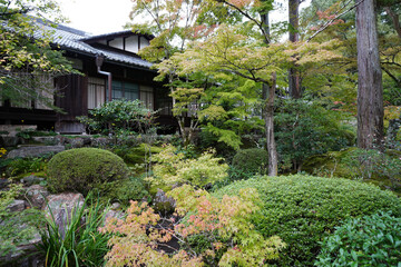 緑豊かな京都の寺院の庭園風景