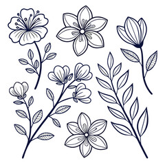 Assortment of Hand Drawn Outline Floral Elements and Leaves on White Background flower bloom