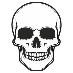 Fototapeta premium skull, halloween, festival, vector, transparent background, head, skeleton, death, dead, anatomy, horror, evil, scary, bones, danger, tattoo, mask