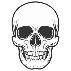 Fototapeta premium skull, halloween, festival, vector, transparent background, head, skeleton, death, dead, anatomy, horror, evil, scary, bones, danger, tattoo, mask