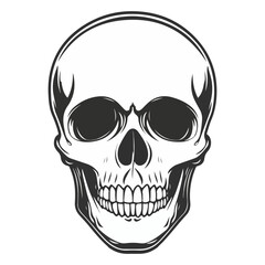 Fototapeta premium skull, halloween, festival, vector, transparent background, head, skeleton, death, dead, anatomy, horror, evil, scary, bones, danger, tattoo, mask