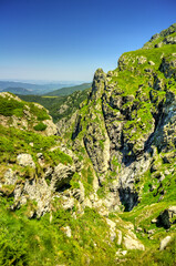 Beautiful summer landscape in the mountain