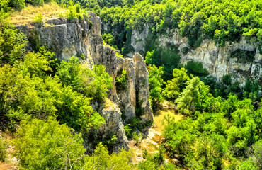 Beautiful summer landscape in the mountain