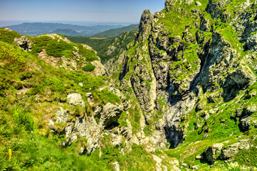 Beautiful summer landscape in the mountain