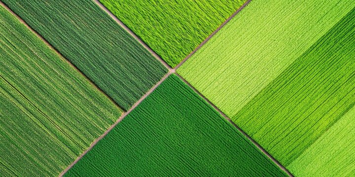 Aerial view of vibrant green fields arranged in geometric patterns, showcasing agricultural landscapes and diverse crop growth.