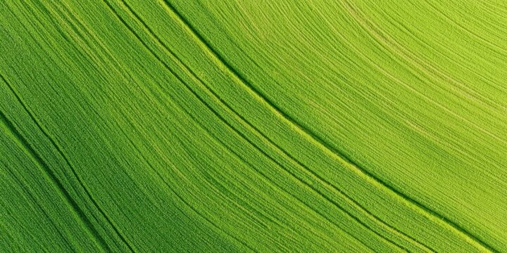 Aerial view of lush green fields with textured lines, showcasing vibrant hues of green and patterns formed by agricultural practices. - Powered by Adobe