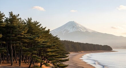 Scenic Mount Fuji landscape with pine trees and sandy beach