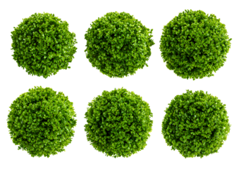 Six green bushes, isolated on a transparent background, PNG