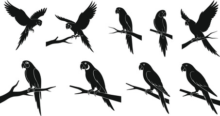Vector Parrot Silhouettes, Exotic Birds on Tree Branches, Flying and Perched Parrots, Black and White Bird Clipart, Wildlife Design