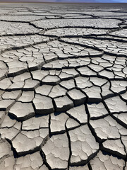 cracked ground with cracks, its notoriety chiefly because of its sulphurous mud springs called solfataras and steam springs called fumaroles.