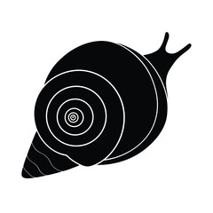 snail on a white background