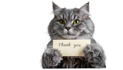 A fluffy gray cat holds a card that says "Thank you," showcasing its expressive eyes and soft fur.